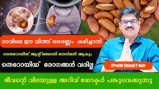 രാവിലെ ഈ വിത്ത് ഒരെണ്ണം കഴിച്ചാൽ തൈറോയിഡ് ആന്റിബോഡി നോർമൽ ആകുംതൈറോയിഡ് രോഗങ്ങൾ വരില്ല Dr Shimji [upl. by Phi]