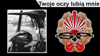 STRACHY NA LACHY  Twoje oczy lubią mnie OFFICIAL AUDIO [upl. by Kelam]