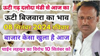 ऊटी गढ़ दलोदा मंडी से ऊटी बिजवारा लहसुन का भाव  08 सितंबर 2024 रविवार [upl. by Wickman]