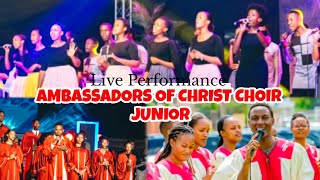 Ambassadors of Christ Choir Junior  Indirimbo nziza cyane Live concert 2024 [upl. by Naasar830]