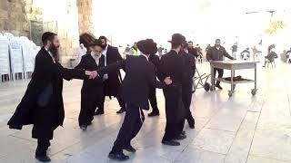 Hasidic Jews Dancing and Singing  🇮🇱  Western Wall JERUSALEM ISRAEL  Jewish Celebration [upl. by Brigitte495]