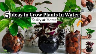 5 Ideas to Grow Plants in Water  Water Garden Plants Indoor  Water Growing plantsGREEN PLANTS [upl. by Aldarcie686]