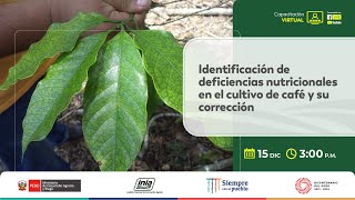 Identificación de deficiencias nutricionales en el cultivo de café y su corrección [upl. by Meesan403]