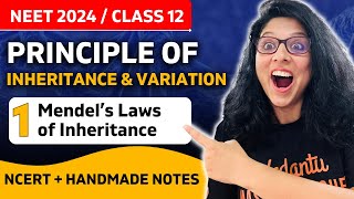 Mendel’s Laws of Inheritance 💥Principles Of Inheritance And Variation💥Biology Class 12 🎯 NEET 2024🥼 [upl. by Efthim]