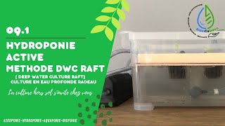 La méthode hydroponique DWC Raft [upl. by Dulcea]