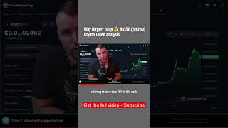 Why Bitgert is up ⚠️ BRISE BitRise Crypto Token Analysis [upl. by Fernand95]