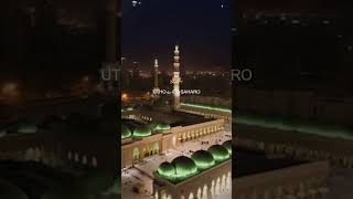 saly Allah Muhammad din 💕 youtubeshorts  islamicmessage  goldenislam islamicgolden [upl. by Soble]