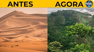 Como o deserto do Saara está se transformando em um oásis de terras agrícolas [upl. by Eelnayr]