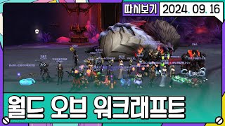 2024 09 16 1편 스트리머 23인 영웅레이드 차단의 신 따구꼭 [upl. by Anitniuq237]