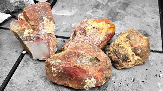 Best of quick clip of rare Septarian Nodules Opalized sea critters and Carnelian Agate fossils [upl. by Araid]