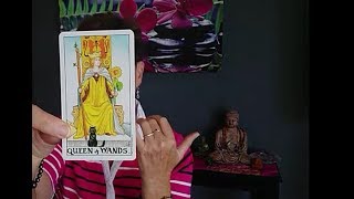 Queen of Wands  Vibrant Appreciation For Life Tarot Court Card Meaning [upl. by Anaud]