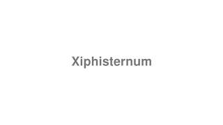 How to Pronounce quotXiphisternumquot [upl. by Areit]