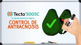 Tecto 500 SC [upl. by Ellehcir]