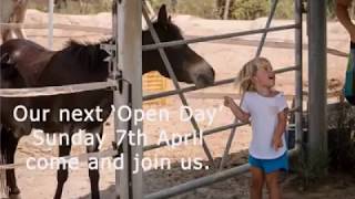 Our next Open Day  Easy Horse Care Rescue Centre [upl. by Gelya]