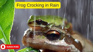 Frog Crocking in the Rain Calm your Anxiety  Relaxing music [upl. by Retxab]