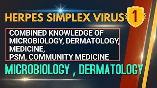 Herpes Simplex Virus  HSV 1 HSV 2  Genital Herpes Test  MICROBIOLOGY  DERMATOLOGY GYNAECOLOGY [upl. by Kahaleel]