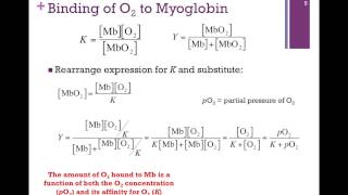 025Binding Affinity of Mb [upl. by Lsil362]