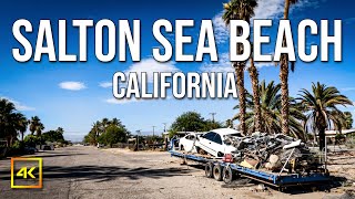 Do You Want To Visit Salton Sea Beach  Salton Sea Today [upl. by Ziladnerb473]