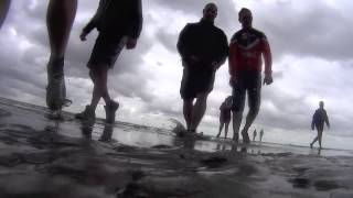 Wadlopen Schiermonnikoog [upl. by Einoj646]