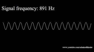 20Hz to 20kHz Human Audio Spectrum [upl. by Wendolyn]