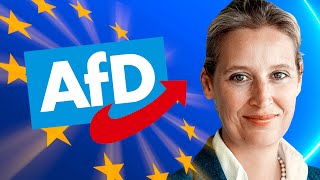 AfD Europawahlprogramm einfach erklärt  2024 [upl. by Naek564]