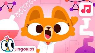 JOBS SONG 🧑‍🔬🧑‍🚀🎶 Songs for kids  Lingokids [upl. by Neleb826]