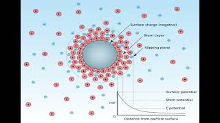 Lec 5 COLLOIDS  Electrical properties and Zeta potential شرح بالعربي [upl. by Nnairet]