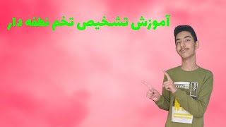 چگونه تخم نطفه دار را تشخیص دهیم؟آموزش تشخیص تخم نطفه دار [upl. by Luar]