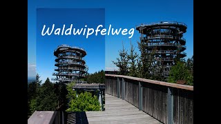 Waldwipfelweg Sankt Englmar  Tree Top Walk  Bavaria English subtitles [upl. by Oyam]