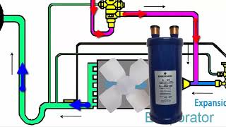 Dégivrage par dérivation de gaz chaud Fonctionnement et composants dans équipements de réfrigération [upl. by Giefer387]