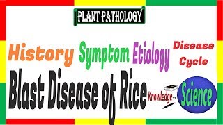 Blast disease of Rice Symptom Etiology Disease Cycle  Pyricularia oryzaeP grisea PAC 13 [upl. by Pontus]