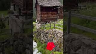 Grimentz Switzerland youtubeshorts foryou viral travel trending mountains river waterfall [upl. by Ahcsropal]