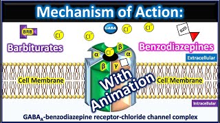 Barbiturates and Benzodiazepines Mechanism of action with animation [upl. by Esther]