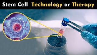 What are stem cells  therapy and type of stem cells [upl. by Maxi]