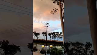 Wow Nature😱কি সুন্দর গ্রামের দৃশ্য😮 nature viralshorts viewpleasesubscribe [upl. by Ulane]