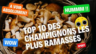 TOP 10 CHAMPIGNONS LES PLUS RAMASSES [upl. by Eniahs]