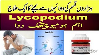 Lycopodium Homeopathic Medicine  Lycopodium 1m Symptoms amp Benefits  Dose 200 1M  Q  USES [upl. by Irakuy]