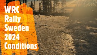 WRC Rally Sweden  2024  Stage conditions [upl. by Justen986]