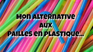 Mon alternative aux pailles en plastique [upl. by Kampmeier]