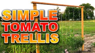 This is the Easiest Tomato Trellis You Can Build for your Tomato Plants [upl. by Kristie]