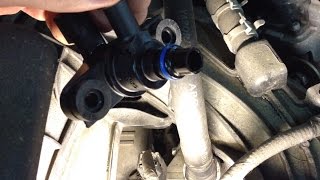 Multiple Ford Vehicles 2009 Evap System Leak Codes P0456 P0457 P1450 [upl. by Hilar334]