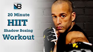 Calorie Killer 20 Minute Shadow Boxing HIIT Workout for Beginners at HOME [upl. by Dumond972]