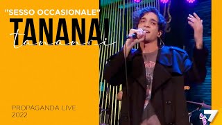 quotSesso occasionalequot Tananai canta a Propaganda Live [upl. by Bazluke820]