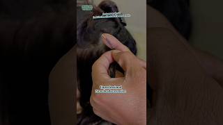 hairstyle hairtransformation hairextensionsindia hairextensions hairstyle hairtransformation [upl. by Notxarb]