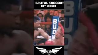 BRUTAL KNOCOUT ll Ray Mercer VS Tommy Morrison [upl. by Enamrahc]