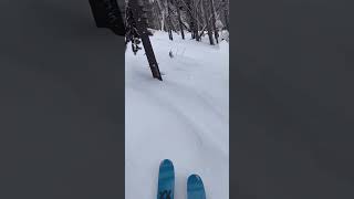 Volkl Mantra and Kendo ski review [upl. by Elagiba411]