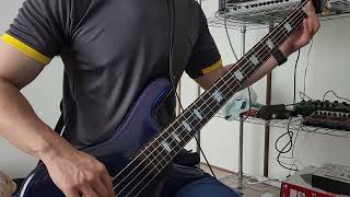 Kreator  Pleasure to Kill Bass Cover [upl. by Mariandi]