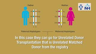 Signs and Symptoms of Thalassemia  Dr Sarita Rani Jaiswal [upl. by Shaine]