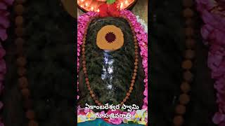 మాసశివరాత్రిmasa shivaratriekambareswara swamyom namashivayatrendingviralytshotsmahadevom [upl. by Yerggoeg]