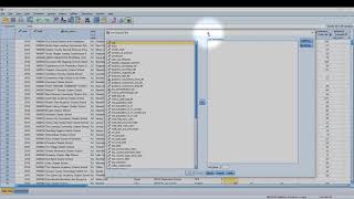 Using SPSS Estimating a 95 Confidence Interval [upl. by Carvey]